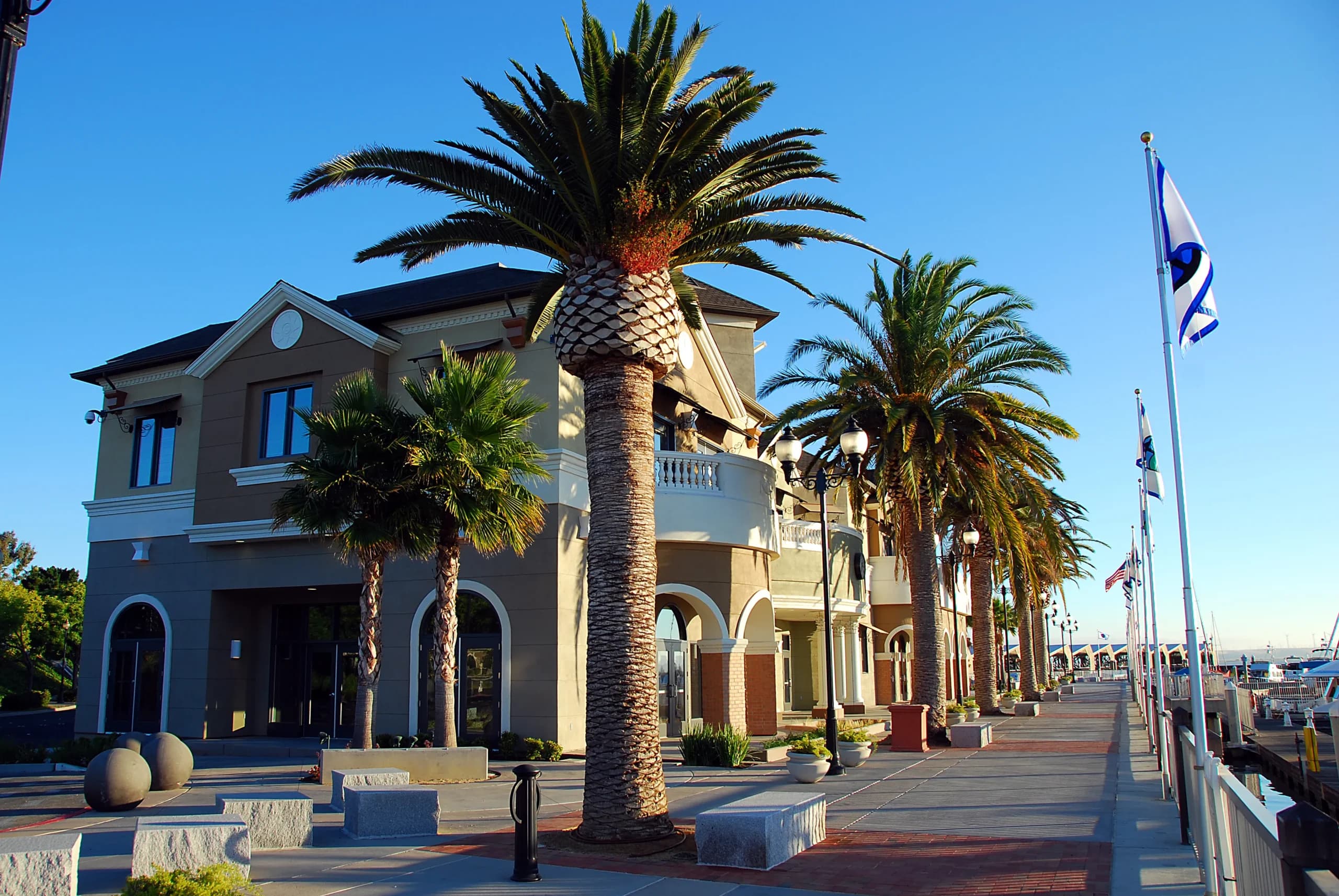 The Pittsburg Marina waterfront, palm-lined, at sunrise